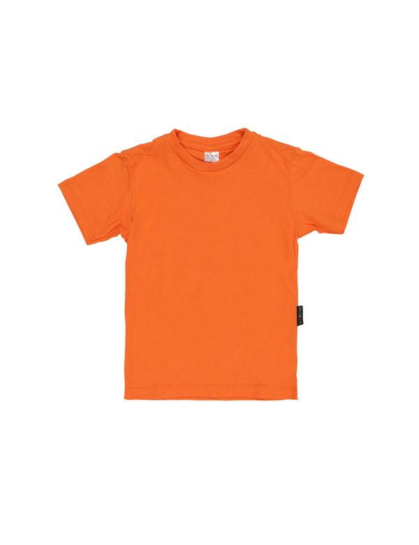 24_frente_4 24_frente_4