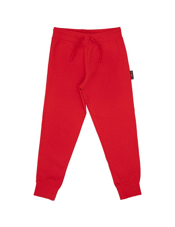 7_frente_4_1 7_frente_4_1