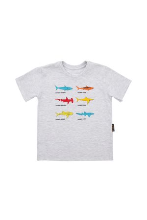 13302---t-shirt-inf-mc-especies-tubaroes---frente